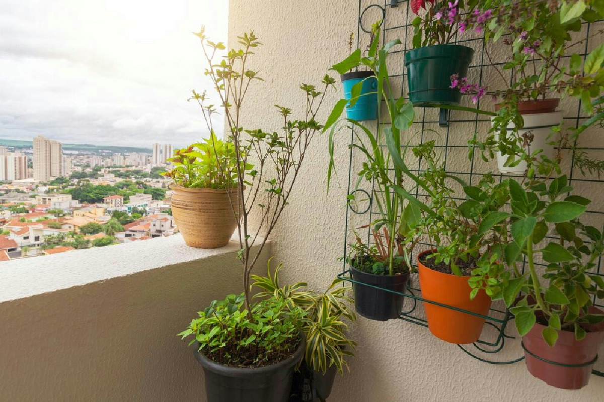 Un bilocale senza giardino? Ecco come chi trasforma il balcone in un rifugio verde irresistibile