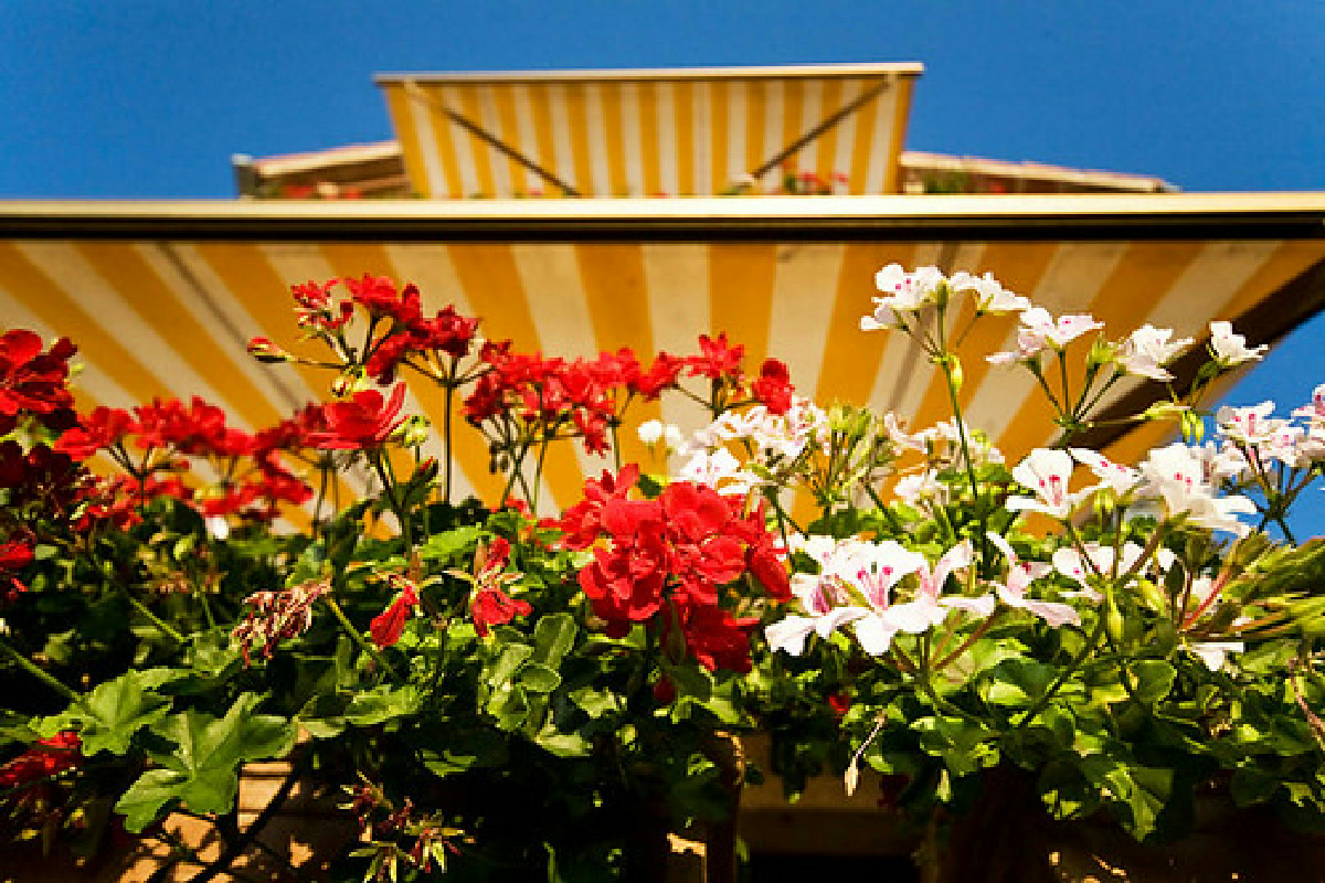Bonus tende da sole, la guida pratica per ottenere la detrazione senza lavori di ristrutturazione