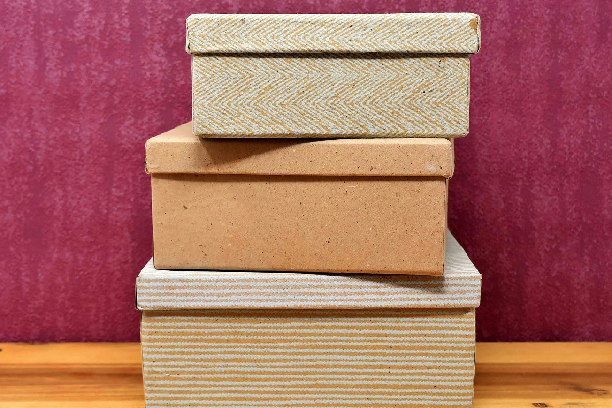 Ecco i gesti casalinghi che chiamano i pesciolini d’argento: errori comuni da non ripetere mai