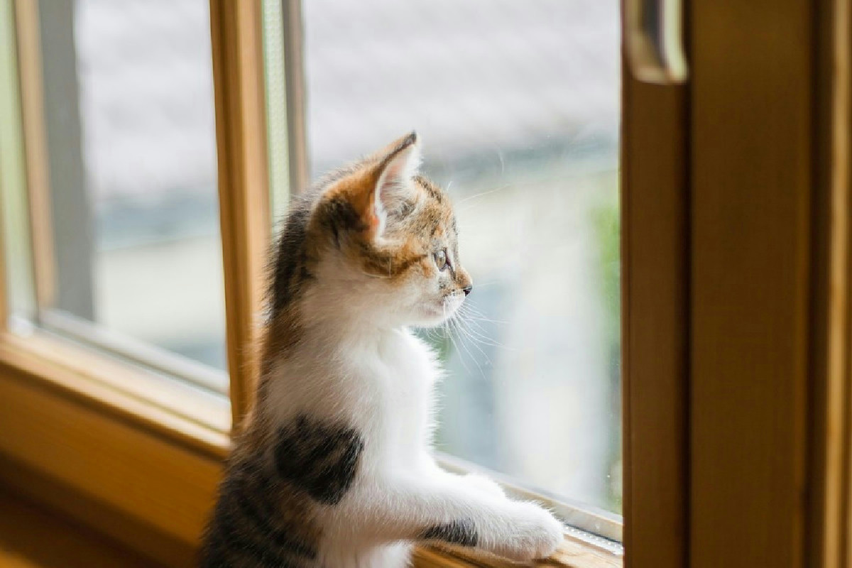 Infissi scorrevoli in PVC: soluzioni innovative per ambienti moderni, funzionali e luminosi