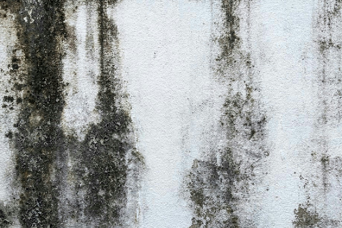 Metodi efficaci per eliminare il calcare dalla doccia senza dover pulire continuamente