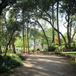 Quanto incide il prezzo per vivere accanto a un parco urbano e respirare aria più pulita?